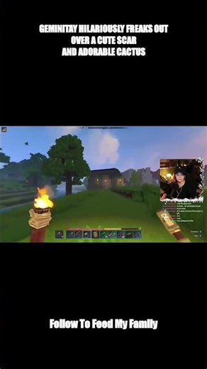 GeminiTay hilariously freaks out over a cute scar and adorable cactus #GeminiTay #Cutemoments #Gemin