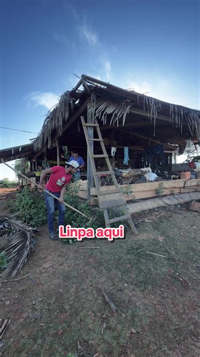 Limpeza#zedamazona | cleaning messy house
