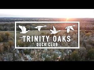 Trinity Oaks Duck Club | Premiere East Texas Duck & Deer Hunting Ranch