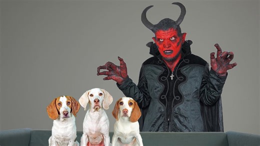 Dogs confront the devil in spooky Halloween prank