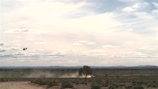 Police and ADF renew search for 4-year-old Gus in South Australia's outback