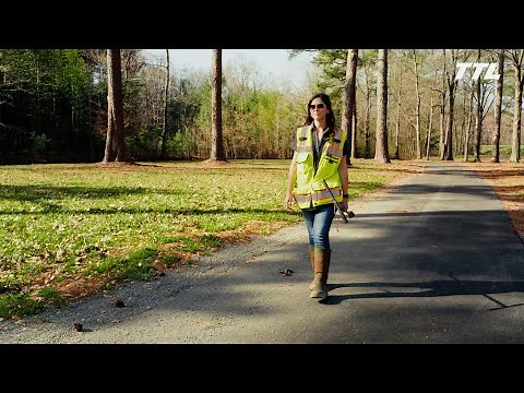 Environmental Scientist - Day in the Life