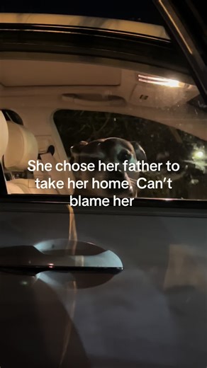 Lana_the_dog2025 on TikTok