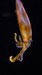 The ocean is terrifying 😱 | Metro