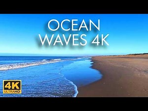 Relaxing Beach Walk Netherlands 4K | Ocean Waves & Natural Sound