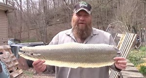Learn How to Preserve Your Gar Fish Hide