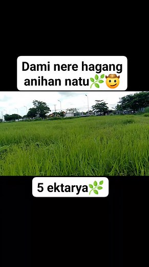 Jayson Jess Franco on Reels