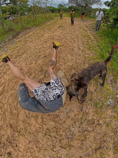 Would you do this? 👀 Today we did some training with the anti-poaching K9 unit here in Zimbabwe. These dogs along with many armed rangers and the use of thermal drones are what keep the wildlife here safe from illegal poachers. We are the first people to come in and train with these rangers and dogs at Imere. What a privilege and an incredible experience 🙏