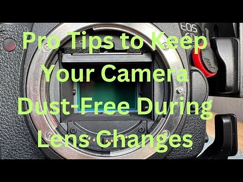 Pro Tips to Keep Your Camera Dust-Free During Lens Changes