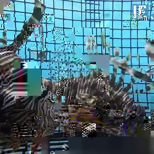 583K views · 2.4K reactions | This robot is protecting our reefs via facebook.com/RobotsISE <3 | Interesting Engineering | Facebook