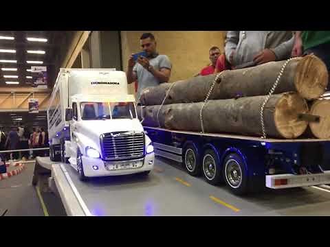 1/14 Tamiya semi custom RC Freighliner cascadia day cab truckmodelismo