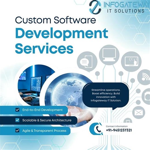 Custom Software Development | Infogateway IT Solution #softwaredevelopment