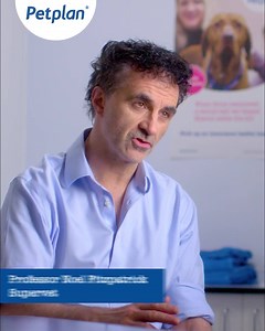Cheap pet insurance can cost you more in the long run says Supervet Noel Fitzpatrick. | Petplan UK