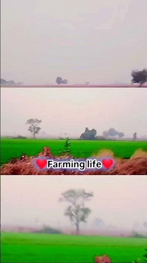 The Simple Life of Rural Farmers