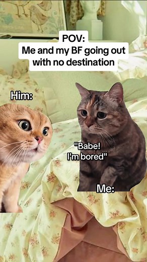 Me and my boyfriend going out with no destination #catmemes #realatable #relationship #couple #boyfriend #girlfriend