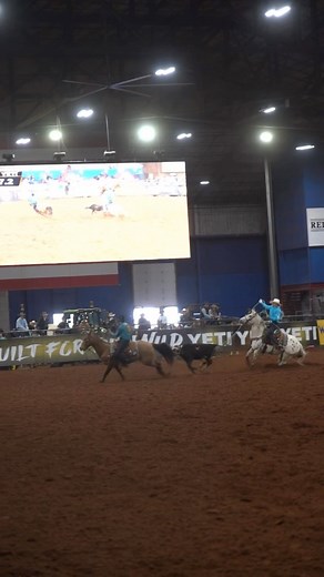 The young guns showed their expertise on the their first BFI steer! 🎥 @teamropingjourn #classicrope #successisinyourhands #teamroping #bfi2023 | Classic Rope