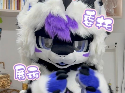 【兽装委托展示】这是蒂莫～小虎鲸