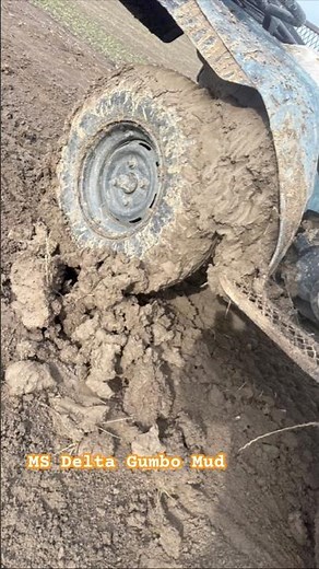 A year since Tree Fiddy was defeated by Delta mud and Mel found out she has zero sense of direction.