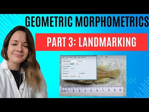 Geometric Morphometrics: Part 3 Building and Landmarking