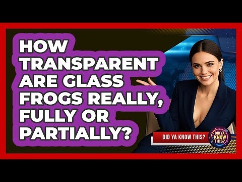 How Transparent Are Glass Frogs Really, Fully Or Partially? - Did Ya Know This