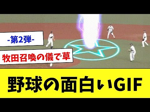 【笑ったら負け】プロ野球のおもしろGIF・動画まとめ第2弾…www
