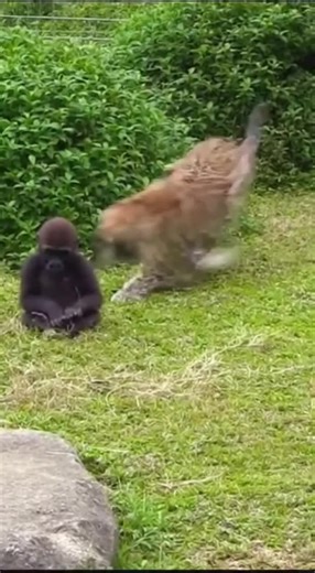 How to Recover Your TikTok Account Quickly