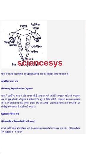 Class 12 Biology Chapter 2 | One Shot🔥| मानव जनन | Human Reproduction One Shot Class 12