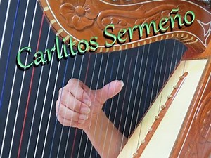 how to play the Harp - clases de Arpa - glissando y tremolo