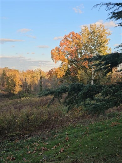 Shannan Haupt on Reels