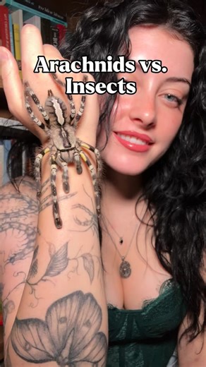 1.6K views · 789 reactions | What is the difference between insects and arachnids? Featuring a lot of animals, I put their names in the video All videos are mine, most of these critters are my pets except for the ones I found outside while herping . . . . . Spiders • Insects • Invertebrates • Bug . . . . . #spiders #arachnids #exoticpets #nature #viral | inspireexotics | Facebook