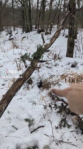 Simplifying My Trapline Using 160 Conibear Traps