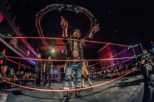 The Spectacle of Excess: Pro Wrestling and the Concept of the "Perfect Bastard"
