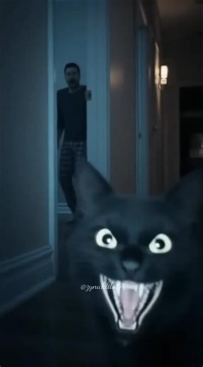 Black Cat Horror Night! 🐾👻 #cat #blackcat #spookyfun #scarycat #horror #youtubeshorts #trending