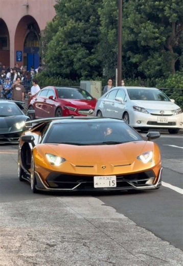 Lamborghini Aventador & Countach Showcase