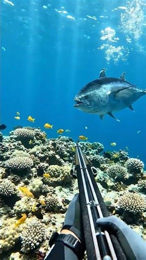 Underwater Fish Hunt 🎣🌊 Epic Deep Sea Catch Adventure