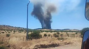 Incendio forestal en Marchihue, sexta región