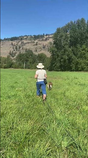 Tracking training with Jini