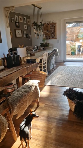 Anja Amlang on Instagram: "Endlich Sonne Diesen traumhaften, sonnigen Moment heute Morgen, musste ich einfach festhalten Habt einen schönen Abend😘 #farmhouseliving #landhausküche #vintage #cozyhomedecor #interieurstyling KÜCHE KITCHEN LANDLEBEN LANDLIEBE DEKORATION SONNE Titel: I Got You (Instrumental) Künstler: Maile Link: https://business.facebook.com/sound/collection/?sound_collection_tab=sound_tracks&asset_id=868723031349314&reference=artist_attr"