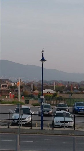 Beautiful Wales Town Prestatyn Short vlog #wales #Prestatyn #uk #gallery