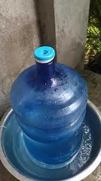 DIY practical dog water dispenser