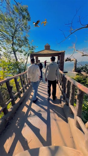 Azad singh on Instagram‎: "@azadharyana09 👆👆👆 . Walking step by step towards peace, faith, and breathtaking beauty. This path in Katra is not just a walkway, it’s a journey of devotion, hope, and self-reflection. Surrounded by mountains, fresh air, and divine silence, every moment here feels blessed. Some places don’t just give you memories, they give you strength, calmness, and faith. Jai Mata Di ✨🕉️ ⸻ Hindi (हिंदी) शांति, श्रद्धा और प्रकृति की गोद में एक सुंदर सफर। कटरा की यह राह सिर्फ एक