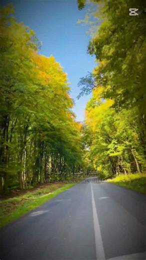 الايمان بالقضاء والقدر ❤️‍🩹🤲