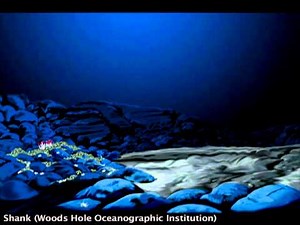 Animation of an eruption and effects on hydrothermal communities over time