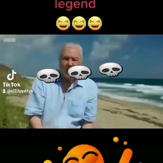 David Attenborough's Powerful Message from the Beach