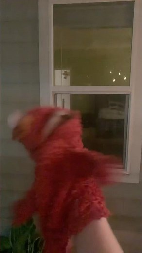 elmo world mr noodle about pets