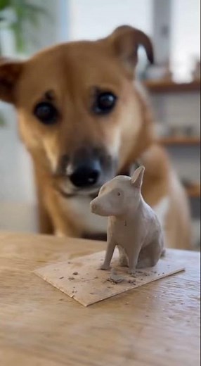 Understanding Guilt in Dogs: Why Your Pet Feels Sorry