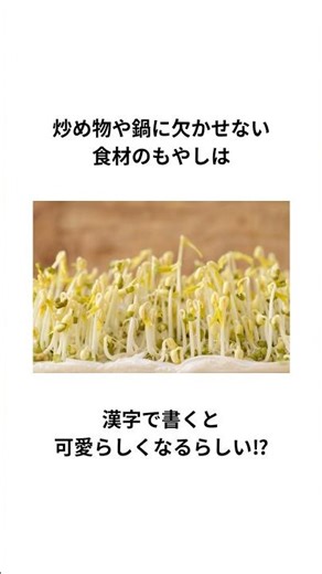 炒め物や鍋に欠かせない食材のもやしは漢字で書くと可愛らしくなるらしい⁉︎ #もやしの漢字 #豆知識 #shorts
