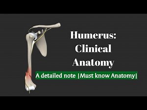 HUMERUS | CLINICAL ANATOMY | A DETAILED NOTE | SIMPLIFIED MUST KNOW ANATOMY |