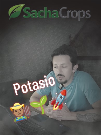 Manejo estratégico del potasio en cultivos