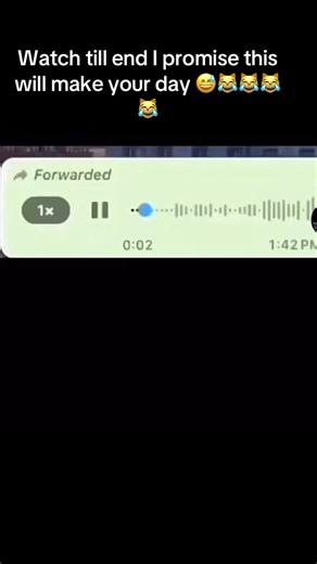 Funny Moments That Will Brighten Your Day